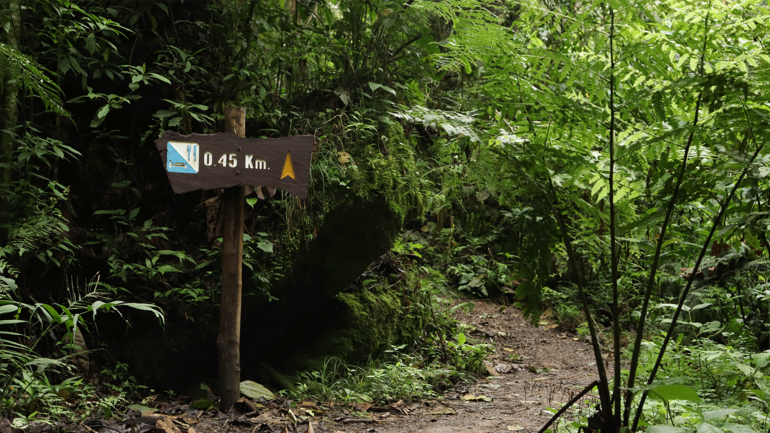 chiquaque park hike tour 4