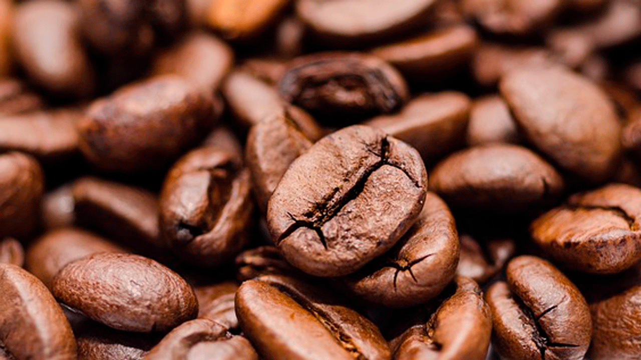 coffee tasting tour in bogota 4