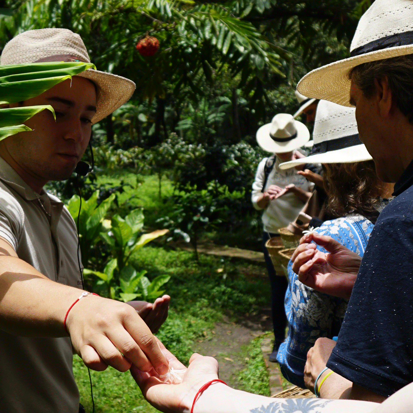 coffee tour farm bogota 3 coffee tour farm bogota 3