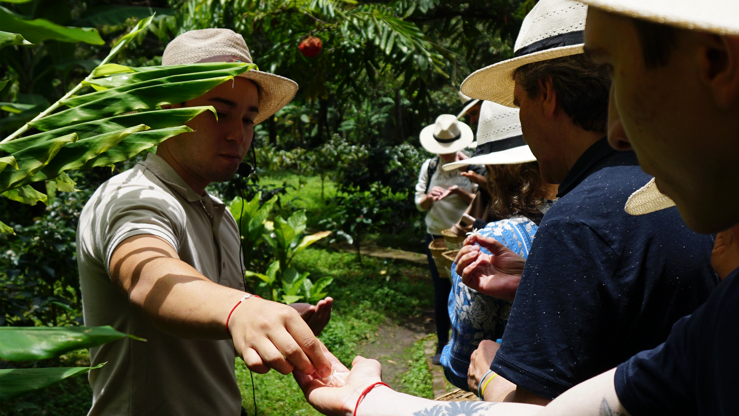 coffee tour farm bogota 3