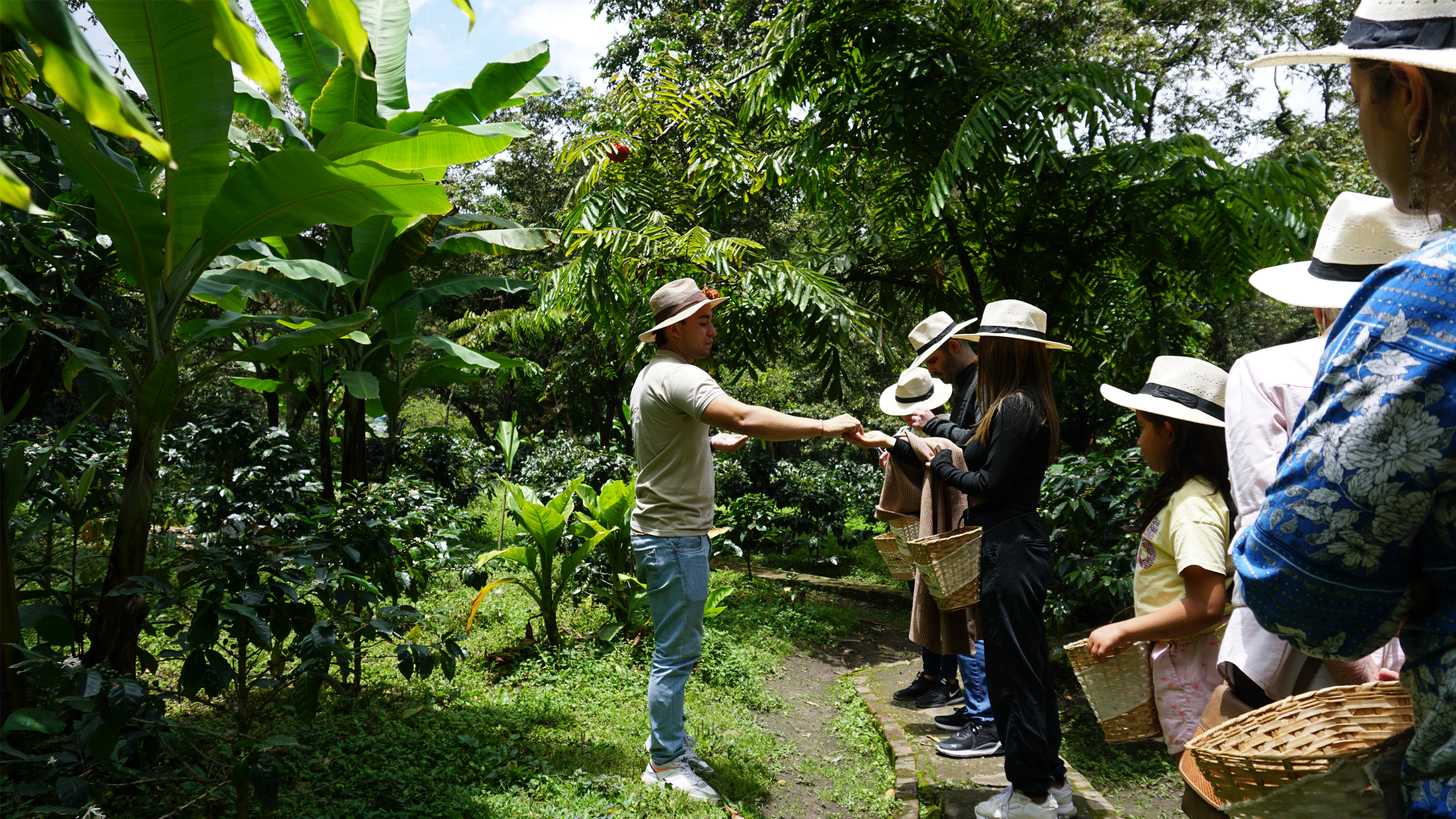 coffee tour farm bogota 4