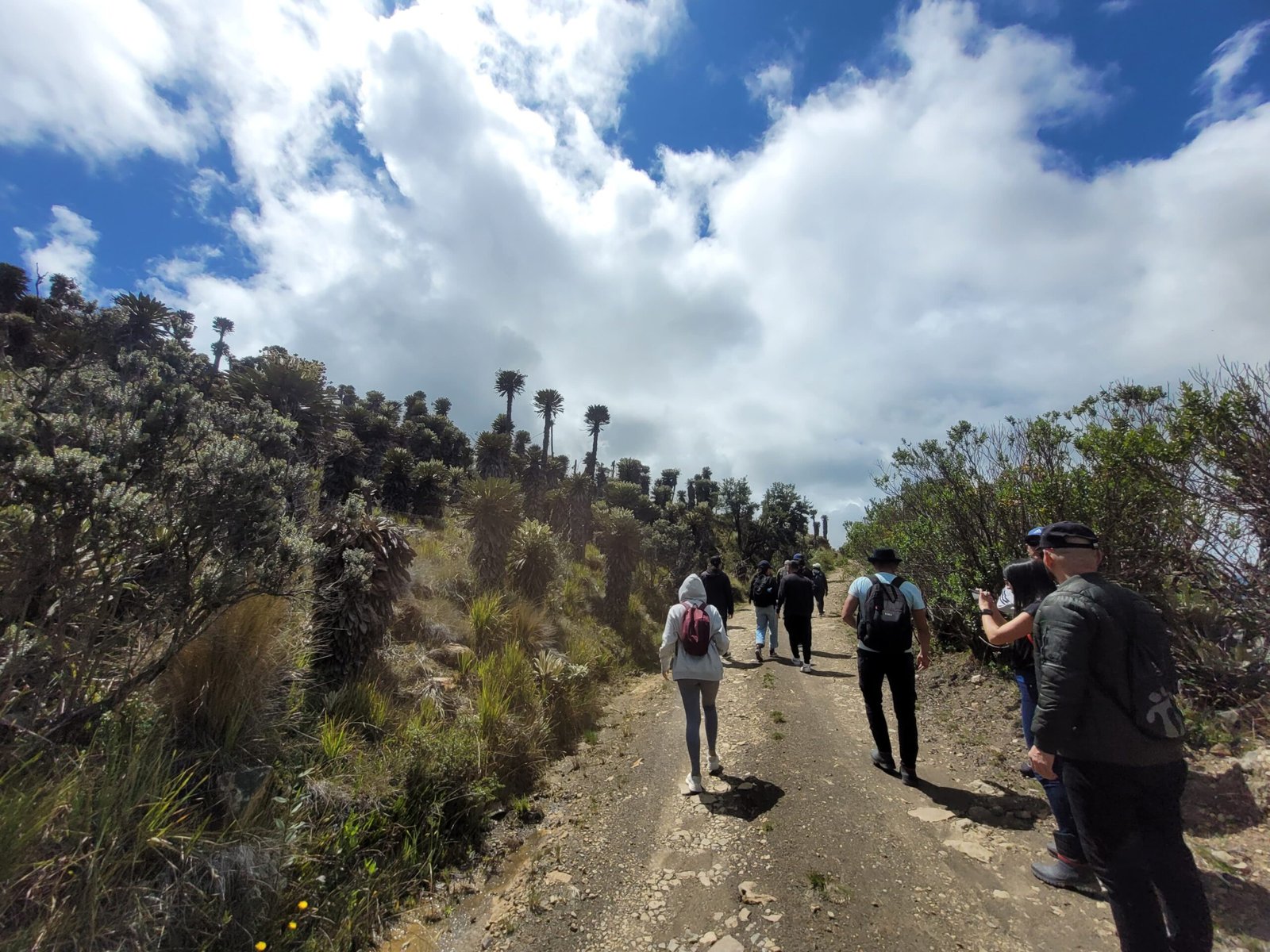 nevado del cocuy national park 16