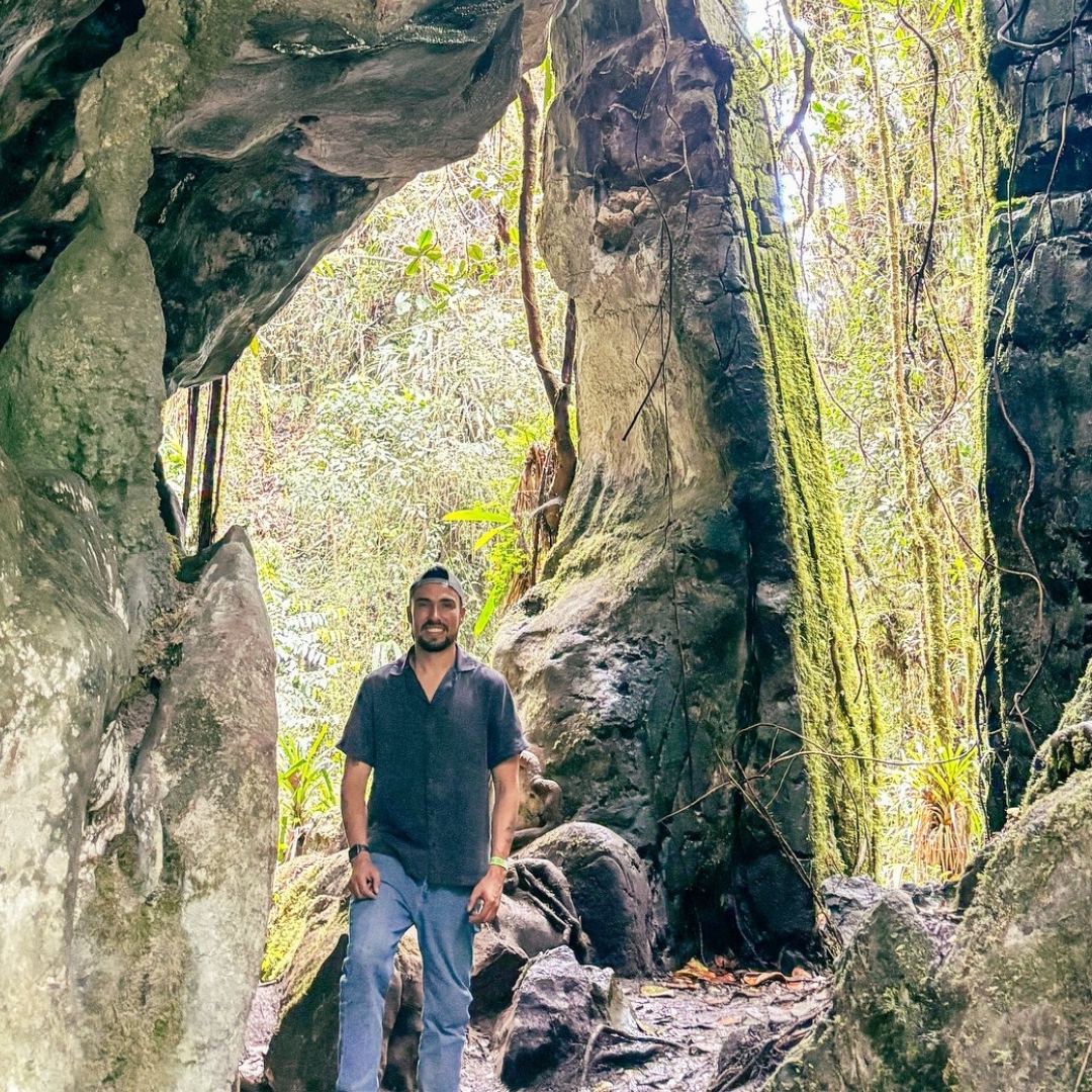 pandora forest 11