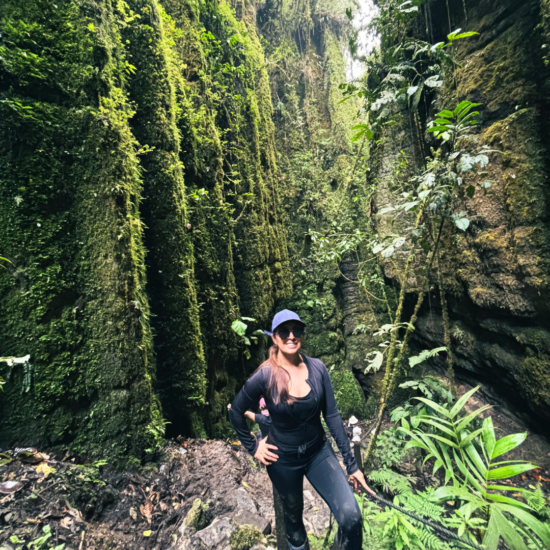 pandora forest 7
