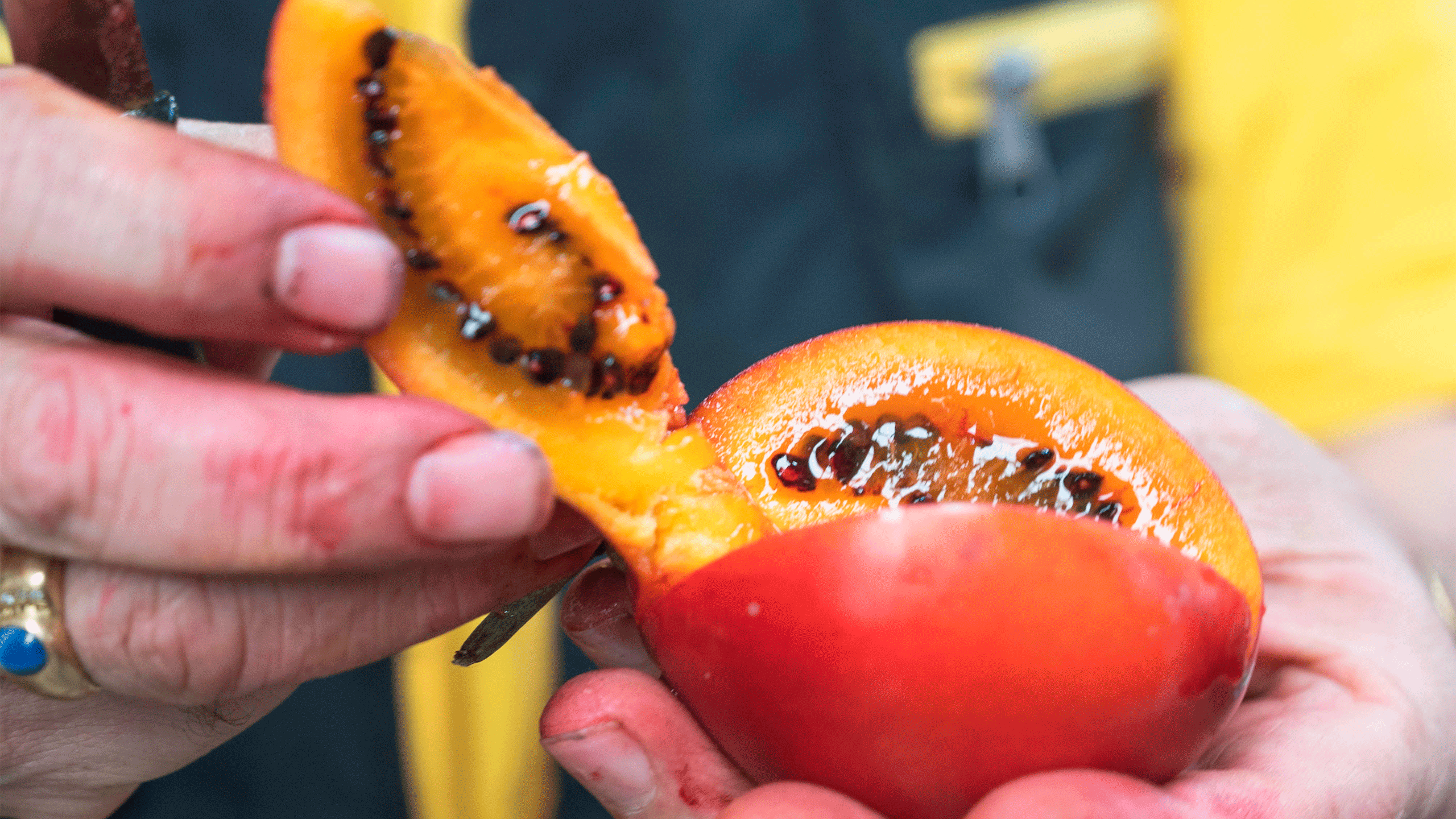 paloquemao market fruit tour 12